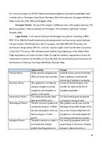 Kutatási anyagok 'Strategic Analysis of the "Norsafe AS"', 16.                
