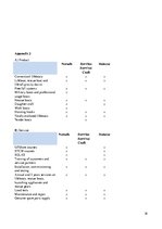 Kutatási anyagok 'Strategic Analysis of the "Norsafe AS"', 18.                
