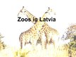 Prezentációk 'Zoos in Latvia', 1.                