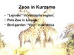 Prezentációk 'Zoos in Latvia', 11.                
