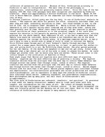 Esszék 'Chinese Philosophy Essay', 2.                