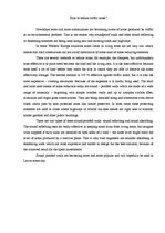 Esszék 'How to Reduce Traffic Noise?', 1.                