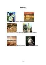 Kutatási anyagok 'Australia', 23.                