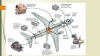 Prezentációk 'Boeing Electrical System', 16.                