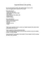 Esszék 'Cooperation between Latvia and Italy', 1.                