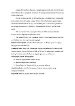 Kutatási anyagok 'Choice Factors for Karosta Prison in Liepaja', 5.                