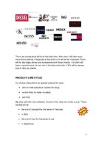 Üzleti tervek 'Business Plan for the "Outlet" Store ', 3.                