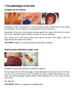 Összefoglalók, jegyzetek 'Pathology Assignment', 2.                