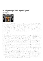 Összefoglalók, jegyzetek 'Pathology Assignment', 42.                