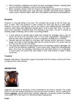 Összefoglalók, jegyzetek 'Pathology Assignment', 43.                