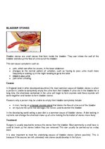 Összefoglalók, jegyzetek 'Pathology Assignment', 49.                