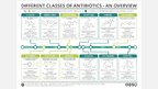 Prezentációk 'Antibiotic Therapy - General Facts', 9.                