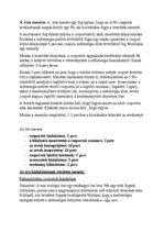 Esszék 'Vita a szélenergia használatával kapcsolatban', 2.                