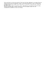 Esszék 'Willem De Kooning', 2.                