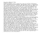 Esszék 'Description / Observation Paper "A Day at the Races" Creative Writting', 1.                