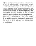 Esszék 'The Respiratory System', 4.                