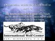 Prezentációk 'Grey Wolf', 10.                