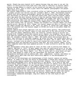 Esszék 'Analog to Digital Imaging', 2.                