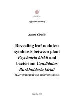 Kutatási anyagok 'Revealing Leaf Nodules: Symbiosis between Plant Psychotria Kirkii and Bacterium ', 1.                