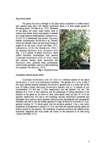 Kutatási anyagok 'Revealing Leaf Nodules: Symbiosis between Plant Psychotria Kirkii and Bacterium ', 3.                