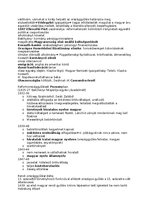 Esszék 'Reformkor', 10.                