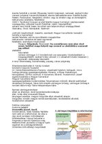 Esszék 'Reformkor', 11.                