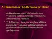 Prezentációk 'Viešojo administravimo pagrindai', 41.                