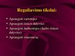 Prezentációk 'Viešojo administravimo pagrindai', 89.                