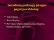 Prezentációk 'Viešojo administravimo pagrindai', 120.                