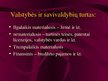 Prezentációk 'Viešojo administravimo pagrindai', 157.                