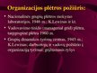 Prezentációk 'Viešojo administravimo pagrindai', 222.                