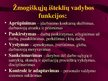 Prezentációk 'Viešojo administravimo pagrindai', 226.                