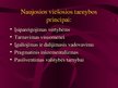 Prezentációk 'Viešojo administravimo pagrindai', 251.                
