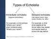 Prezentációk 'Symptoms and Causes of Echolalia', 3.                