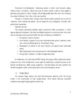 Kutatási anyagok 'Analytical Report of an Interview of a Chief Executive Officer of Creative Indus', 3.                