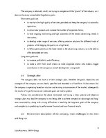 Kutatási anyagok 'Analytical Report of an Interview of a Chief Executive Officer of Creative Indus', 6.                