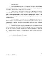 Kutatási anyagok 'Analytical Report of an Interview of a Chief Executive Officer of Creative Indus', 13.                