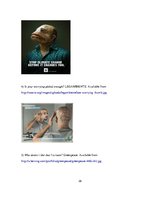 Kutatási anyagok 'Propaganda of Global Warming in Advertising Context', 38.                