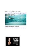 Kutatási anyagok 'Propaganda of Global Warming in Advertising Context', 39.                