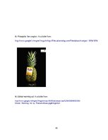 Kutatási anyagok 'Propaganda of Global Warming in Advertising Context', 40.                