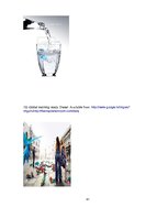 Kutatási anyagok 'Propaganda of Global Warming in Advertising Context', 41.                