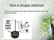 Prezentációk 'Biogas', 4.                