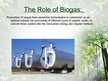 Prezentációk 'Biogas', 10.                