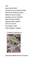 Összefoglalók, jegyzetek 'Szárazföldi állatok rendszertani besorolása, jellemzése saját képanyaggal', 4.                