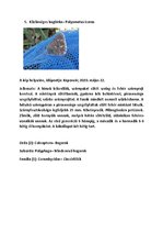 Összefoglalók, jegyzetek 'Szárazföldi állatok rendszertani besorolása, jellemzése saját képanyaggal', 9.                