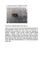 Összefoglalók, jegyzetek 'Szárazföldi állatok rendszertani besorolása, jellemzése saját képanyaggal', 10.                