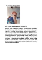 Összefoglalók, jegyzetek 'Szárazföldi állatok rendszertani besorolása, jellemzése saját képanyaggal', 11.                