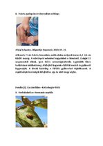 Összefoglalók, jegyzetek 'Szárazföldi állatok rendszertani besorolása, jellemzése saját képanyaggal', 12.                