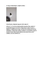 Összefoglalók, jegyzetek 'Szárazföldi állatok rendszertani besorolása, jellemzése saját képanyaggal', 15.                