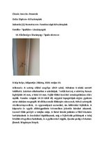 Összefoglalók, jegyzetek 'Szárazföldi állatok rendszertani besorolása, jellemzése saját képanyaggal', 17.                